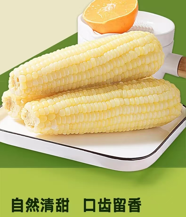 微信图片_20241029155402.jpg