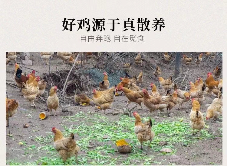 微信图片_20241010115334.jpg
